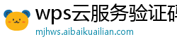 wps云服务验证码是什么样的啊怎么弄的